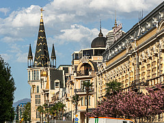 Весеннее цветение в Грузии. Тбилиси – Кахетия – Аджария