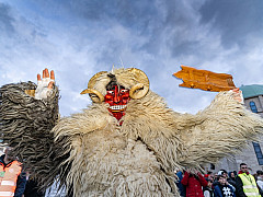 Карнавалы: неудержимый Бушояраш + альпийский Fasching. Австрия – Венгрия – Германия