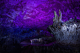 Кутаиси – монастырь Гелати – пещера Прометея*